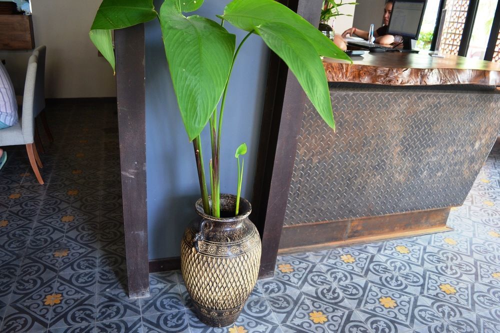 Monsoon Bassac Hotel Phnom Penh Exterior foto