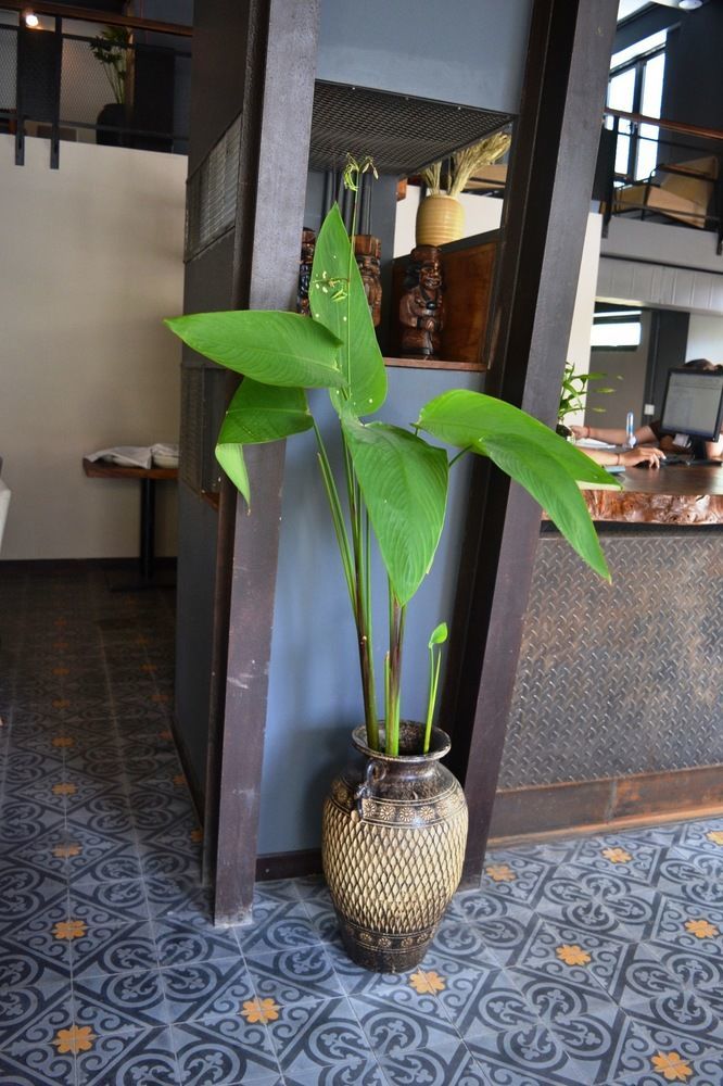 Monsoon Bassac Hotel Phnom Penh Exterior foto